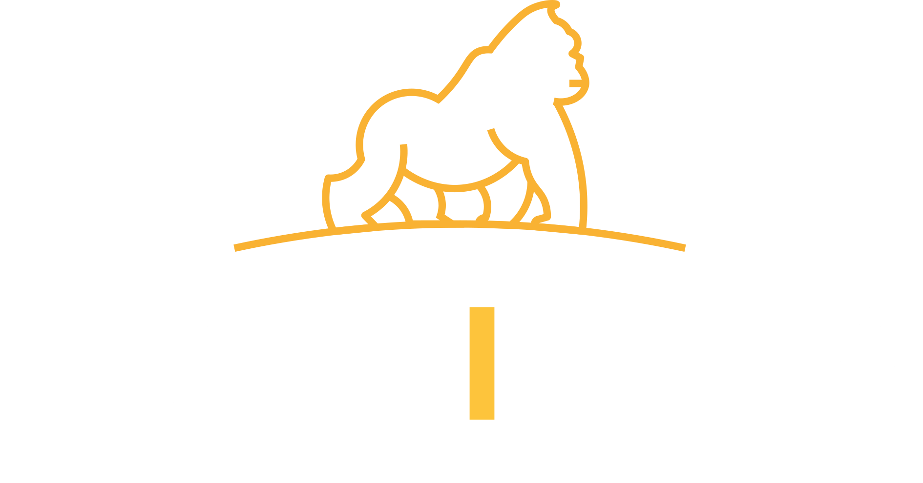 Gorilla Agentur 